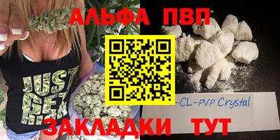 стаф Новозыбков
