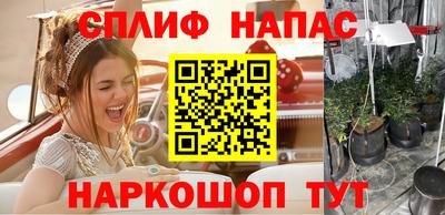 стаф Новозыбков