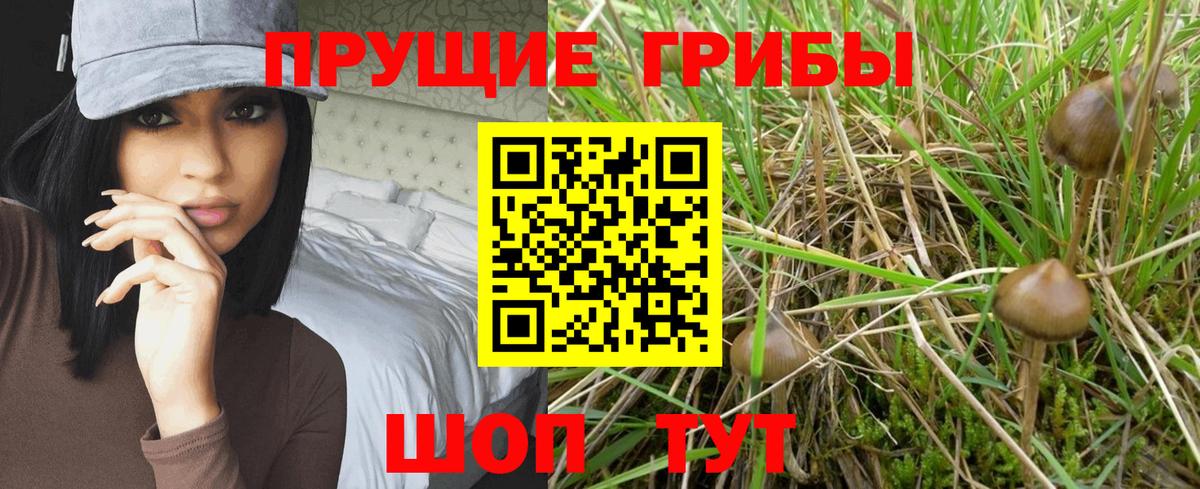 Ангарск  Галлюциногенные грибы Magic Shrooms  Вход с VPN 